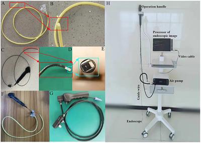 Corrigendum: Application of visual placement of a nasojejunal indwelling feeding tube in intensive care unit patients receiving mechanical ventilation